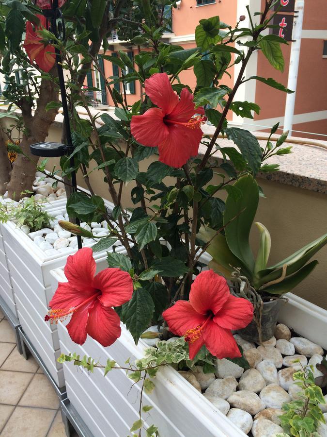 B&B Borgo Marina Bordighera Eksteriør billede